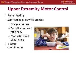 Upper Extremity Motor Control
• Finger feeding
• Self feeding skills with utensils
– Grasp on utensil
– Coordination and
efficiency
– Motivation and
experience
• Bilateral
coordination
 