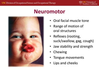 Neuromotor
• Oral facial muscle tone
• Range of motion of
oral structures
• Reflexes (rooting,
suck/swallow, gag, cough)
• Jaw stability and strength
• Chewing
• Tongue movements
• Lips and cheeks
 