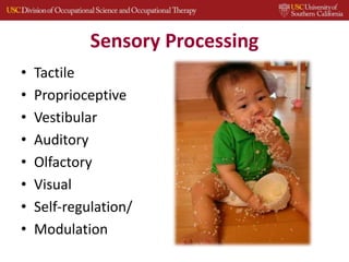Sensory Processing
• Tactile
• Proprioceptive
• Vestibular
• Auditory
• Olfactory
• Visual
• Self-regulation/
• Modulation
 