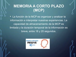 MEMORIA A CORTO PLAZO
(MCP)
• La función de la MCP es organizar y analizar la
información e interpretar nuestras experiencias. La
capacidad de almacenamiento de la MCP es
limitada y la duración temporal de la información es
breve, entre 18 y 20 segundos.
 
