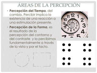 ÁREAS DE LA PERCEPCIÓN
• Percepción del Tiempo, del
cambio. Percibir implica la
existencia de una reacción a
una estimulación presente.
• Percepción de la Forma, es
el resultado de la
percepción del contorno y
del contraste y la percibimos
fundamentalmente a través
de la vista y por el tacto.
 