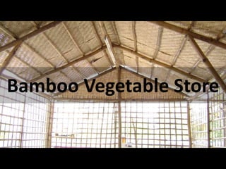 Bamboo Vegetable Store
 