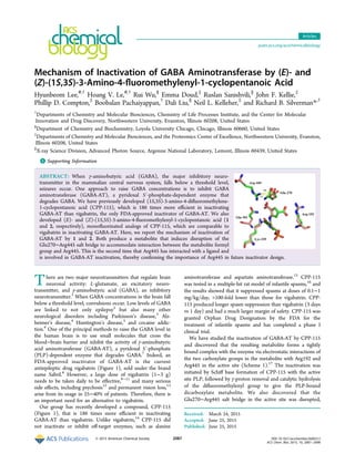 Mechanism of Inactivation of GABA Aminotransferase by (E)- and
(Z)‑(1S,3S)‑3-Amino-4-ﬂuoromethylenyl-1-cyclopentanoic Acid
Hyunbeom Lee,#,†
Hoang V. Le,#,†
Rui Wu,§
Emma Doud,‡
Ruslan Sanishvili,∥
John F. Kellie,‡
Phillip D. Compton,‡
Boobalan Pachaiyappan,†
Dali Liu,§
Neil L. Kelleher,‡
and Richard B. Silverman*,†
†
Departments of Chemistry and Molecular Biosciences, Chemistry of Life Processes Institute, and the Center for Molecular
Innovation and Drug Discovery, Northwestern University, Evanston, Illinois 60208, United States
§
Department of Chemistry and Biochemistry, Loyola University Chicago, Chicago, Illinois 60660, United States
‡
Departments of Chemistry and Molecular Biosciences, and the Proteomics Center of Excellence, Northwestern University, Evanston,
Illinois 60208, United States
∥
X-ray Science Division, Advanced Photon Source, Argonne National Laboratory, Lemont, Illinois 60439, United States
*S Supporting Information
ABSTRACT: When γ-aminobutyric acid (GABA), the major inhibitory neuro-
transmitter in the mammalian central nervous system, falls below a threshold level,
seizures occur. One approach to raise GABA concentrations is to inhibit GABA
aminotransferase (GABA-AT), a pyridoxal 5′-phosphate-dependent enzyme that
degrades GABA. We have previously developed (1S,3S)-3-amino-4-diﬂuoromethylene-
1-cyclopentanoic acid (CPP-115), which is 186 times more eﬃcient in inactivating
GABA-AT than vigabatrin, the only FDA-approved inactivator of GABA-AT. We also
developed (E)- and (Z)-(1S,3S)-3-amino-4-ﬂuoromethylenyl-1-cyclopentanoic acid (1
and 2, respectively), monoﬂuorinated analogs of CPP-115, which are comparable to
vigabatrin in inactivating GABA-AT. Here, we report the mechanism of inactivation of
GABA-AT by 1 and 2. Both produce a metabolite that induces disruption of the
Glu270−Arg445 salt bridge to accommodate interaction between the metabolite formyl
group and Arg445. This is the second time that Arg445 has interacted with a ligand and
is involved in GABA-AT inactivation, thereby conﬁrming the importance of Arg445 in future inactivator design.
There are two major neurotransmitters that regulate brain
neuronal activity: L-glutamate, an excitatory neuro-
transmitter, and γ-aminobutyric acid (GABA), an inhibitory
neurotransmitter.1
When GABA concentrations in the brain fall
below a threshold level, convulsions occur. Low levels of GABA
are linked to not only epilepsy2
but also many other
neurological disorders including Parkinson’s disease,3
Alz-
heimer’s disease,4
Huntington’s disease,5
and cocaine addic-
tion.6
One of the principal methods to raise the GABA level in
the human brain is to use small molecules that cross the
blood−brain barrier and inhibit the activity of γ-aminobutyric
acid aminotransferase (GABA-AT), a pyridoxal 5′-phosphate
(PLP)-dependent enzyme that degrades GABA.7
Indeed, an
FDA-approved inactivator of GABA-AT is the current
antiepileptic drug vigabatrin (Figure 1), sold under the brand
name Sabril.8
However, a large dose of vigabatrin (1−3 g)
needs to be taken daily to be eﬀective,9−11
and many serious
side eﬀects, including psychosis12
and permanent vision loss,13
arise from its usage in 25−40% of patients. Therefore, there is
an important need for an alternative to vigabatrin.
Our group has recently developed a compound, CPP-115
(Figure 1), that is 186 times more eﬃcient in inactivating
GABA-AT than vigabatrin. Unlike vigabatrin,14
CPP-115 did
not inactivate or inhibit oﬀ-target enzymes, such as alanine
aminotransferase and aspartate aminotransferase.15
CPP-115
was tested in a multiple-hit rat model of infantile spasms,16
and
the results showed that it suppressed spasms at doses of 0.1−1
mg/kg/day, >100-fold lower than those for vigabatrin. CPP-
115 produced longer spasm suppression than vigabatrin (3 days
vs 1 day) and had a much larger margin of safety. CPP-115 was
granted Orphan Drug Designation by the FDA for the
treatment of infantile spasms and has completed a phase I
clinical trial.
We have studied the inactivation of GABA-AT by CPP-115
and discovered that the resulting metabolite forms a tightly
bound complex with the enzyme via electrostatic interactions of
the two carboxylate groups in the metabolite with Arg192 and
Arg445 in the active site (Scheme 1).17
The inactivation was
initiated by Schiﬀ base formation of CPP-115 with the active
site PLP, followed by γ-proton removal and catalytic hydrolysis
of the diﬂuoromethylenyl group to give the PLP-bound
dicarboxylate metabolite. We also discovered that the
Glu270−Arg445 salt bridge in the active site was disrupted,
Received: March 24, 2015
Accepted: June 25, 2015
Published: June 25, 2015
Articles
pubs.acs.org/acschemicalbiology
© 2015 American Chemical Society 2087 DOI: 10.1021/acschembio.5b00212
ACS Chem. Biol. 2015, 10, 2087−2098
 