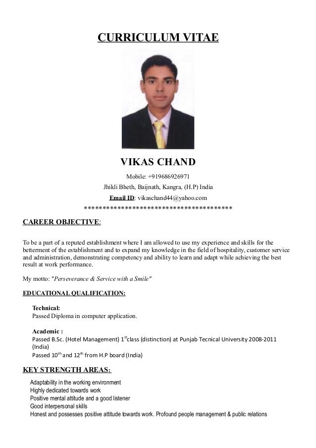 vikas update resume