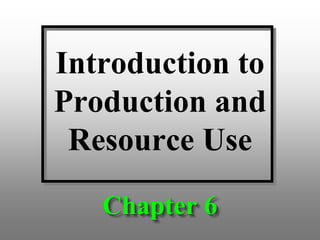 Introduction to
Production and
Resource Use
Chapter 6
 