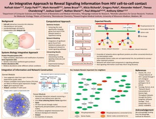 An Integrative Approach to Reveal Signaling Information from HIV cell-to-cell contact
Nafisah Islam1,2,3, Eunju Park3,4,5, Mark Horswill3,4,5, James Bruce3,4,5, Alicia Richards6, Gregory Potts6, Alexander Hebert6, Thevaa
Chandereng2,3, Joshua Coon6,7, Nathan Sherer4,5, Paul Ahlquist3,4,5,8, Anthony Gitter1,2,3
1Department of Computer Sciences and 2Department of Biostatistics and Medical Informatics, 3Morgridge Institute for Research, 4McArdle Laboratory for Cancer Research, 5Institute
for Molecular Virology, 6Depts. of Chemistry, 7Biomolecular Chemistry, 8Howard Hughes Medical Institute, University of Wisconsin-Madison, Madison, WI
Systems Biology Integrative Approach
Protein Phosphorylation (PP)
• Rapid activation, deactivation and modification of proteins
Gene Expression (GE)
• Genetic instructions synthesize gene products
Protein abundance (PA)
• Relative abundance under different cellular conditions
Background
• Cell-cell interaction transmits HIV-infection
• Infected/donor cell (Jurkat)
• Uninfected/target cell (SupT1)
• Collaboration with Ahlquist lab
Computational Approach
Statistical Analysis
• Extracting the most
significantly changing
genes from each of the
datasets based on
hypothesis testing
Network Modeling
• Integration of significant
genes found from
statistical analyses with a
background network to
reveal signaling pathways
Interpreting Results
• Validating and
interpreting resulting
signaling molecules and
pathways
• Experimental testing in
the Ahlquist lab
Expected Results
• Ensemble of networks where significant proteins are either connected directly or
via intermediate nodes
• Intermediate Steiner nodes are not experimental hits, but predicted to connect
other important proteins
• Networks will reveal novel components in signaling pathways
• Host signaling information could help inform drug discovery
References
1. Alvarez, RA., et al.
"Unique features of
HIV-1 spread through T
cell virological
synapses." PLoS
pathogens 10.12
(2014).
2. Tuncbag, Nurcan, et al.
"Network-Based
Interpretation of
Diverse High-
Throughput Datasets
through the Omics
Integrator Software
Package." PLoS
Comput Biol 12.4
(2016): e1004879.
Integration of Information and Network Construction
PP
GE
PA
From [1]
Acknowledgement
We acknowledge funding
from the Morgridge
Institute for Research.
Garnet Module
• Uses epigenetic data from open chromatin
experiments (public data)
• Predicts candidate transcription factors (TFs) that
are likely to influence gene expression changes
• Input: gene expression data
• Output: candidate TF with score
Forest Module
• Generates interaction network connecting a
subset of user defined omic data hits
• Uses Prize-collecting Steiner forest algorithm
• Input:
o TFs from Garnet (triangle nodes)
o Significantly phosphorylated proteins (round
nodes)
o A confidence-weighted interactome from
literature (background network)
• Output:
o An ensemble of networks
From [2]
Env
CD4
Cell surface
Phosphoproteomic hit
Transcription factor hit
Steiner node
Known, relevant interaction Unknown, relevant interaction
No change
Our Analysis Reveals Important Env neighbors
Phosphoproteomics
Steiner Nodes
Phosphoproteomics connected to Env
Steiner nodes connected to Env
 