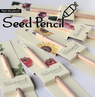 3_Seed Pencil