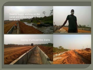 Swamp buggy working on the
canal and embankment to the
line drains
Laying of precast line drains
 