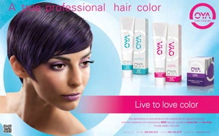 Edward Orr Portfolio Mini A 2015