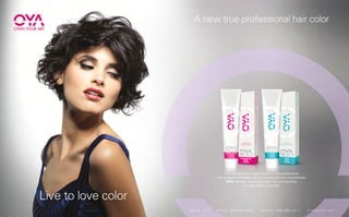 Edward Orr Portfolio Mini A 2015