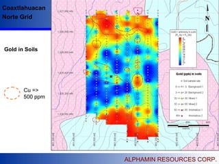 ALPHAMIN RESOURCES CORP.
Coaxtlahuacan
Norte Grid
Cu =>
500 ppm
Gold in Soils
 