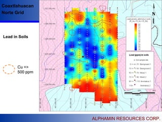 ALPHAMIN RESOURCES CORP.
 Alphamin Resources Corp is listed on the TSX
Venture Exchange, Canada.
 The Company is based in Vancouver, British Columbia,
Canada.
 The Company has as excellent portfolio of base and
precious metal properties in Argentina and Mexico.
 Exploration work is on going on it’s Mexican properties
 Directors & Management have extensive technical
knowledge specifically of Mexico and Argentina.
Coaxtlahuacan
Norte Grid
Cu =>
500 ppm
Lead in Soils
 
