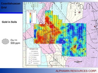 ALPHAMIN RESOURCES CORP.
Coaxtlahuacan
Grid
Cu =>
500 ppm
Gold in Soils
 