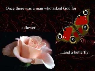 Once there was a man who asked God for
a flower....
....and a butterfly.
 