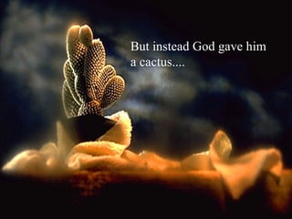 But instead God gave him
a cactus....
 