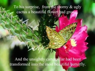 To his surprise, from the thorny & ugly
cactus a beautiful flower had grown.
And the unsightly carterpillar had been
transformed into the most beautiful butterfly.
 