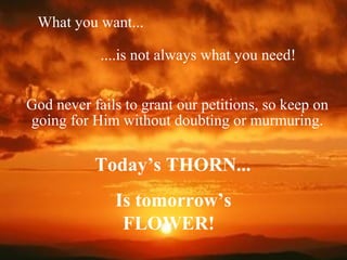 What you want...
....is not always what you need!
God never fails to grant our petitions, so keep on
going for Him without doubting or murmuring.
Today’s THORN...
Is tomorrow’s
FLOWER!
 