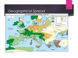 Geographical Spread
5
 