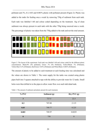 MSc Thesis 2014
_________________________________________________________________________
20
pollutant and 3%, 0.3, 0.03 and 0.003% plastic with pollutant present (Figure 2). Plastic was
added to the tanks for feeding once a week by removing 750g of sediment from each tank.
Each tank was labelled 1-60 and colour coded depending on the treatment. 1kg of clean
sediment was always present in each tank with the other 750g being renewed once a week.
The percentage of plastic was taken from the 750g added to the tank and not the total amount.
Figure 2: The layout of the experiment. Each tank was labelled 1-60 and colour coded for the different plastic
concentrations. Black-0% (No pollutant), Green- 3% (No Pollution), Yellow/Black- 3% (Pollutant),
Yellow/Red- 0.3% (Pollutant), Red/Green- 0.03% (Pollutant) and White/Black- 0.003% (Pollutant).
The amount of plastic to be added to each treatment at each feeding time was calculated and
the values are shown in Table 1. The water supply for the tanks was created using plastic
pipes built into 5 squares attached to taps with the ability to provide water for 12 tanks. Small
holes were then drilled in to the pipes to allow water flow over each individual tank.
Table 1: The amount of sediment and plastic present for each treatment.
% PVC Sediment (g) Dry PVC (g)
3 727.5 22.5
0.3 747.88 2.115
0.03 749.77 0.225
0.003 749.97 0.0225
0 750 0
 