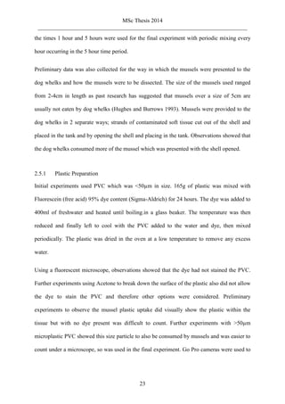 MSc Thesis 2014
_________________________________________________________________________
23
the times 1 hour and 5 hours were used for the final experiment with periodic mixing every
hour occurring in the 5 hour time period.
Preliminary data was also collected for the way in which the mussels were presented to the
dog whelks and how the mussels were to be dissected. The size of the mussels used ranged
from 2-4cm in length as past research has suggested that mussels over a size of 5cm are
usually not eaten by dog whelks (Hughes and Burrows 1993). Mussels were provided to the
dog whelks in 2 separate ways; strands of contaminated soft tissue cut out of the shell and
placed in the tank and by opening the shell and placing in the tank. Observations showed that
the dog whelks consumed more of the mussel which was presented with the shell opened.
2.5.1 Plastic Preparation
Initial experiments used PVC which was <50µm in size. 165g of plastic was mixed with
Fluorescein (free acid) 95% dye content (Sigma-Aldrich) for 24 hours. The dye was added to
400ml of freshwater and heated until boiling.in a glass beaker. The temperature was then
reduced and finally left to cool with the PVC added to the water and dye, then mixed
periodically. The plastic was dried in the oven at a low temperature to remove any excess
water.
Using a fluorescent microscope, observations showed that the dye had not stained the PVC.
Further experiments using Acetone to break down the surface of the plastic also did not allow
the dye to stain the PVC and therefore other options were considered. Preliminary
experiments to observe the mussel plastic uptake did visually show the plastic within the
tissue but with no dye present was difficult to count. Further experiments with >50µm
microplastic PVC showed this size particle to also be consumed by mussels and was easier to
count under a microscope, so was used in the final experiment. Go Pro cameras were used to
 