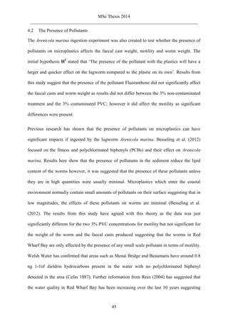 MSc Thesis 2014
_________________________________________________________________________
45
4.2 The Presence of Pollutants
The Arenicola marina ingestion experiment was also created to test whether the presence of
pollutants on microplastics affects the faecal cast weight, motility and worm weight. The
initial hypothesis H2
stated that ‘The presence of the pollutant with the plastics will have a
larger and quicker effect on the lugworm compared to the plastic on its own’. Results from
this study suggest that the presence of the pollutant Fluoranthene did not significantly affect
the faecal casts and worm weight as results did not differ between the 3% non-contaminated
treatment and the 3% contaminated PVC; however it did affect the motility as significant
differences were present.
Previous research has shown that the presence of pollutants on microplastics can have
significant impacts if ingested by the lugworm Arenicola marina. Besseling et al. (2012)
focused on the fitness and polychlorinated biphenyls (PCBs) and their effect on Arenicola
marina. Results here show that the presence of pollutants in the sediment reduce the lipid
content of the worms however, it was suggested that the presence of these pollutants unless
they are in high quantities were usually minimal. Microplastics which enter the coastal
environment normally contain small amounts of pollutants on their surface suggesting that in
low magnitudes, the effects of these pollutants on worms are minimal (Besseling et al.
(2012). The results from this study have agreed with this theory as the data was just
significantly different for the two 3% PVC concentrations for motility but not significant for
the weight of the worm and the faecal casts produced suggesting that the worms in Red
Wharf Bay are only affected by the presence of any small scale pollutant in terms of motility.
Welsh Water has confirmed that areas such as Menai Bridge and Beaumaris have around 0.8
ng 1-1of dieldrin hydrocarbons present in the water with no polychlorinated biphenyl
detected in the area (Cefas 1987). Further information from Rees (2004) has suggested that
the water quality in Red Wharf Bay has been increasing over the last 10 years suggesting
 