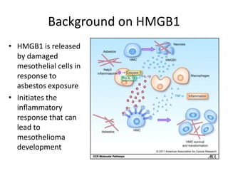 DNA Cloning and Expression of HMGB1 in E. Coli | PPTX