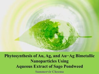 Phytosynthesis of Au, Ag, and Au−Ag Bimetallic
Nanoparticles Using
Aqueous Extract of Sago Pondweed
Summervir Cheema
 