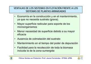 • Economía en la construcción y en el mantenimiento,
ya que no necesita sustrato (grava).
• Mayor superficie radicular para soporte de los
microorganismos
• Menor necesidad de superficie debido a su mayor
eficacia
• Ausencia de colmatación del sustrato
• Mantenimiento en el tiempo del poder de depuración
• Facilidad para la recolección de toda la biomasa
incluida la de la zona sumergida
VENTAJAS DE LOS SISTEMAS EN FLOTACIÓN FRENTE A LOS
SISTEMAS DE PLANTAS ARRAIGADAS
Filtros Verdes en Flotación. Prof. Jesús Fernández . ETSIA. UPM.
 