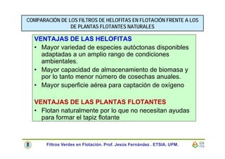 VENTAJAS DE LAS HELOFITAS
• Mayor variedad de especies autóctonas disponibles
adaptadas a un amplio rango de condiciones
ambientales.
• Mayor capacidad de almacenamiento de biomasa y
por lo tanto menor número de cosechas anuales.
• Mayor superficie aérea para captación de oxígeno
VENTAJAS DE LAS PLANTAS FLOTANTES
• Flotan naturalmente por lo que no necesitan ayudas
para formar el tapiz flotante
COMPARACIÓN DE LOS FILTROS DE HELOFITAS EN FLOTACIÓN FRENTE A LOS
DE PLANTAS FLOTANTES NATURALES
Filtros Verdes en Flotación. Prof. Jesús Fernández . ETSIA. UPM.
 