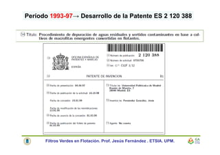 Período 1993-97→ Desarrollo de la Patente ES 2 120 388
Filtros Verdes en Flotación. Prof. Jesús Fernández . ETSIA. UPM.
 