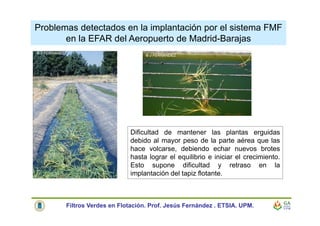 Problemas detectados en la implantación por el sistema FMF
en la EFAR del Aeropuerto de Madrid-Barajas
Dificultad de mantener las plantas erguidas
debido al mayor peso de la parte aérea que las
hace volcarse, debiendo echar nuevos brotes
hasta lograr el equilibrio e iniciar el crecimiento.
Esto supone dificultad y retraso en la
implantación del tapiz flotante.
© J FERNANDEZ
© J FERNANDEZ
Filtros Verdes en Flotación. Prof. Jesús Fernández . ETSIA. UPM.
 