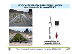IMPLANTACIÓN SOBRE LA SUPERFICIE DEL HUMEDAL
Inicio del desarrollo del sistema TTF-UPM
(Sistema TTF-UPM)
Patente ES 2 331 556
Filtros Verdes en Flotación. Prof. Jesús Fernández . ETSIA. UPM.
 