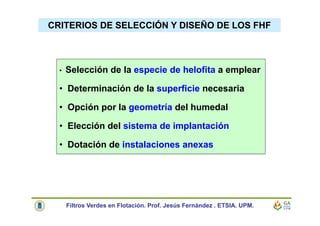 CRITERIOS DE SELECCIÓN Y DISEÑO DE LOS FHF
• Selección de la especie de helofita a emplear
• Determinación de la superficie necesaria
• Opción por la geometría del humedal
• Elección del sistema de implantación
• Dotación de instalaciones anexas
Filtros Verdes en Flotación. Prof. Jesús Fernández . ETSIA. UPM.
 