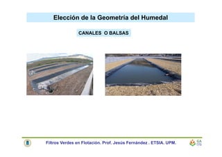 Elección de la Geometría del Humedal
Filtros Verdes en Flotación. Prof. Jesús Fernández . ETSIA. UPM.
CANALES O BALSAS
 