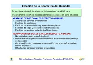 Elección de la Geometría del Humedal
Se han desarrollado 2 tipos básicos de humedales para FHF para
proporcionar la superficie deseada: (canales conectados en serie o balsas)
Filtros Verdes en Flotación. Prof. Jesús Fernández . ETSIA. UPM.
VENTAJAS DE LOS CANALES RESPECTO A BALSAS
• Ausencia de caminos preferenciales
• Facilidad de plantación
• Facilidad de mantenimiento y reposición de plantas.
• Facilidad de siega y cosecha de la biomasa aérea
• Facilidad para aplicar tratamientos fitosanitarios
INCONVENIENTES DE LOS CANALES RESPECTO A BALSAS
• Necesidad de mayor superficie global
• Menor relación superficie / volumen debido a los taludes (menor tiempo
de retención)
• Construcción más costosa en la excavación y en la superficie total de
lámina empleada.
• Dificultad en conseguir grandes profundidaes
 