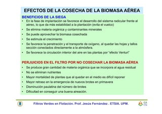 EFECTOS DE LA COSECHA DE LA BIOMASA AÉREA
Filtros Verdes en Flotación. Prof. Jesús Fernández . ETSIA. UPM.
BENEFICIOS DE LA SIEGA
• En la fase de implantación se favorece el desarrollo del sistema radicular frente al
aéreo, lo que da más estabilidad a la plantación (evita el vuelco)
• Se elimina materia orgánica y contaminantes minerales
• Se puede aprovechar la biomasa cosechada
• Se estimula el crecimiento
• Se favorece la penetración y el transporte de oxígeno, al quedar las hojas y tallos
sección conectados directamente a la atmósfera.
• Se favorece la circulación interior del aire en las plantas por “efecto Venturi”
PERJUICIOS EN EL FILTRO POR NO COSECHAR LA BIOMASA AÉREA
• Se produce gran cantidad de materia orgánica que se incorpora al agua residual
• No se eliminan nutrientes
• Mayor mortalidad de plantas que al quedar en el medio es difícil reponer
• Mayor retraso en la emergencia de nuevos brotes en primavera
• Disminución paulatina del número de brotes
• Dificultad en conseguir una buena aireación.
 
