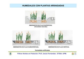 HUMEDALES CON PLANTAS ARRAIGADAS
EMERGENTES EN FLUJO SUBSUPERFICIAL EMERGENTES EN FLUJO VERTICAL
Humedales artificiales
EMERGENTES EN FLUJO SUPERFICIAL
(Humedales naturales)
Filtros Verdes en Flotación. Prof. Jesús Fernández . ETSIA. UPM.
 
