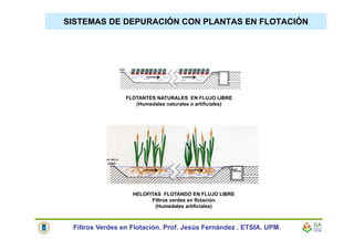 SISTEMAS DE DEPURACIÓN CON PLANTAS EN FLOTACIÓN
FLOTANTES NATURALES EN FLUJO LIBRE
(Humedales naturales o artificiales)
HELOFITAS FLOTANDO EN FLUJO LIBRE
Filtros verdes en flotación
(Humedales artificiales)
Filtros Verdes en Flotación. Prof. Jesús Fernández . ETSIA. UPM.
 