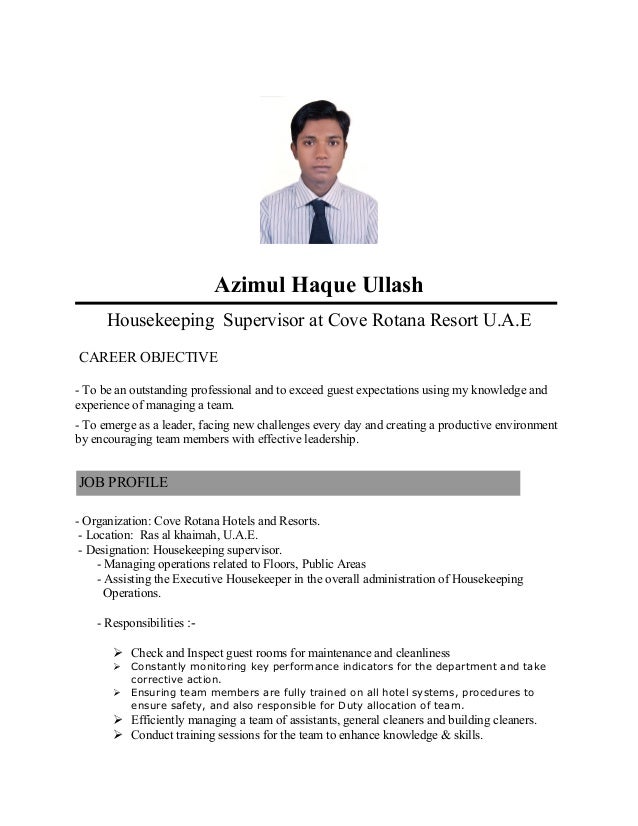 housekeeper career