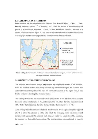 16"|"P a g e "
%
5. MATERIALS AND METHODS
Both sediment and test organisms were collected from Roskilde Fjord (55°43'N, 11°58'E,
Gershøj, Denmark) on the 27th
of February, 2013. Since the amount of sediment collected
proved to be insufficient, Isefjorden (55°67'N, 11°80'E, Munkholm, Denmark) was used as a
second collection site (see figure 6). The ratio of the sediment from each of the two sources
was roughly 0.5 and was mixed prior to the commencement of the experiment.
Figure 6. Map of collection sites. The blue star represents the first collection poin, while the red star indicates
the origin of the latter sediment collection.
5.1 SEDIMENT: COLLECTION AND HANDLING
The sediment was collected, using a 500µm sieve, by scraping the surface of the sediment.
Since the sediment surface was mostly covered my marine macroalgae, the sediment was
collected from random patches that were not completely covered by the algae. Thus, it was
tried to collect it without uptake of marine plants.
The salinity of the water was measured with a refractometer in two different places: close to
the shore, where it had a value of 4‰, and more further out, where the value measured was of
10‰. As for the temperature, the value displayed on the thermometer was of 1°C.
After sieving, the sediment was washed with distilled water. It was kept overnight for a period
of 24h to allow the sediment to settle, after which the overlaying water was removed and
replaced with seawater (10‰ salinity). Each time new water was added atop of the sediment,
the mixture was thoroughly homogenized. The homogenization was performed in order to
 