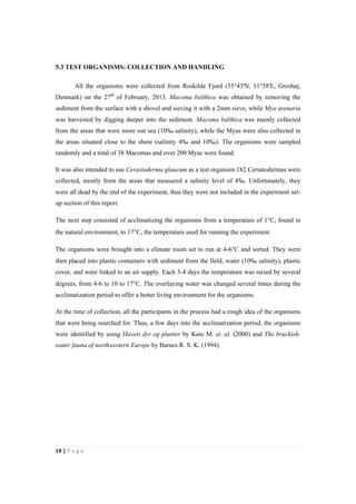 19"|"P a g e "
%
5.3 TEST ORGANISMS: COLLECTION AND HANDLING
All the organisms were collected from Roskilde Fjord (55°43'N, 11°58'E, Greshøj,
Denmark) on the 27th
of February, 2013. Macoma balthica was obtained by removing the
sediment from the surface with a shovel and sieving it with a 2mm sieve, while Mya arenaria
was harvested by digging deeper into the sediment. Macoma balthica was mainly collected
from the areas that were more out sea (10‰ salinity), while the Myas were also collected in
the areas situated close to the shore (salinity 4‰ and 10‰). The organisms were sampled
randomly and a total of 38 Macomas and over 200 Myas were found.
It was also intended to use Cerastoderma glaucum as a test organism.182 Cersatodermas were
collected, mostly from the areas that measured a salinity level of 4‰. Unfortunately, they
were all dead by the end of the experiment, thus they were not included in the experiment set-
up section of this report.
The next step consisted of acclimatizing the organisms from a temperature of 1°C, found in
the natural environment, to 17°C, the temperature used for running the experiment.
The organisms were brought into a climate room set to run at 4-6°C and sorted. They were
then placed into plastic containers with sediment from the field, water (10‰ salinity), plastic
cover, and were linked to an air supply. Each 3-4 days the temperature was raised by several
degrees, from 4-6 to 10 to 17°C. The overlaying water was changed several times during the
acclimatization period to offer a better living environment for the organisms.
At the time of collection, all the participants in the process had a rough idea of the organisms
that were being searched for. Thus, a few days into the acclimatization period, the organisms
were identified by using Havets dyr og planter by Køie M. et. al. (2000) and The brackish-
water fauna of northwestern Europe by Barnes R. S. K. (1994).
 