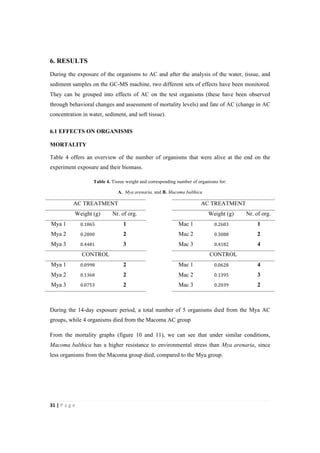31"|"P a g e "
%
6. RESULTS
During the exposure of the organisms to AC and after the analysis of the water, tissue, and
sediment samples on the GC-MS machine, two different sets of effects have been monitored.
They can be grouped into effects of AC on the test organisms (these have been observed
through behavioral changes and assessment of mortality levels) and fate of AC (change in AC
concentration in water, sediment, and soft tissue).
6.1 EFFECTS ON ORGANISMS
MORTALITY
Table 4 offers an overview of the number of organisms that were alive at the end on the
experiment exposure and their biomass.
Table 4. Tissue weight and corresponding number of organisms for:
A. Mya arenaria, and B. Macoma balthica
AC TREATMENT AC TREATMENT
Weight (g) Nr. of org. Weight (g) Nr. of org.
Mya 1 0.1865 1 Mac 1 0.2683 1
Mya 2 0.2800 2 Mac 2 0.3088 2
Mya 3 0.4481 3 Mac 3 0.4182 4
CONTROL CONTROL
Mya 1 0.0998 2 Mac 1 0.0628 4
Mya 2 0.1368 2 Mac 2 0.1395 3
Mya 3 0.0753 2 Mac 3 0.2039 2
During the 14-day exposure period, a total number of 5 organisms died from the Mya AC
groups, while 4 organisms died from the Macoma AC group
From the mortality graphs (figure 10 and 11), we can see that under similar conditions,
Macoma balthica has a higher resistance to environmental stress than Mya arenaria, since
less organisms from the Macoma group died, compared to the Mya group.
 