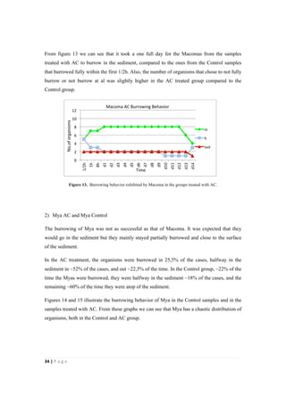 34"|"P a g e "
%
From figure 13 we can see that it took a one full day for the Macomas from the samples
treated with AC to burrow in the sediment, compared to the ones from the Control samples
that burrowed fully within the first 1/2h. Also, the number of organisms that chose to not fully
burrow or not burrow at al was slightly higher in the AC treated group compared to the
Control group.
%%%%%%%%%%%%%%%%%%
Figure 13. Burrowing behavior exhibited by Macoma in the groups treated with AC.
2) Mya AC and Mya Control
The burrowing of Mya was not as successful as that of Macoma. It was expected that they
would go in the sediment but they mainly stayed partially burrowed and close to the surface
of the sediment.
In the AC treatment, the organisms were burrowed in 25,5% of the cases, halfway in the
sediment in ~52% of the cases, and out ~22,5% of the time. In the Control group, ~22% of the
time the Myas were burrowed, they were halfway in the sediment ~18% of the cases, and the
remaining ~60% of the time they were atop of the sediment.
Figures 14 and 15 illustrate the burrowing behavior of Mya in the Control samples and in the
samples treated with AC. From these graphs we can see that Mya has a chaotic distribution of
organisms, both in the Control and AC group.
0%
2%
4%
6%
8%
10%
12%
1/2h%
1h%
8h%
d1%
d2%
d3%
d4%
d5%
d6%
d7%
d8%
d9%
d10%
d11%
d12%
d13%
d14%
in%
h%
out%
Macoma%AC%Burrowing%Behavior%
Time%
No.of%organisms%
 