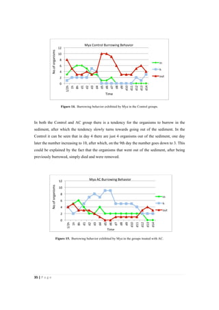 35"|"P a g e "
%
Figure 14. Burrowing behavior exhibited by Mya in the Control groups.
In both the Control and AC group there is a tendency for the organisms to burrow in the
sediment, after which the tendency slowly turns towards going out of the sediment. In the
Control it can be seen that in day 4 there are just 4 organisms out of the sediment, one day
later the number increasing to 10, after which, on the 9th day the number goes down to 3. This
could be explained by the fact that the organisms that went out of the sediment, after being
previously burrowed, simply died and were removed.
Figure 15. Burrowing behavior exhibited by Mya in the groups treated with AC.
0%
2%
4%
6%
8%
10%
12%
1/2h%
1h%
8h%
d1%
d2%
d3%
d4%
d5%
d6%
d7%
d8%
d9%
d10%
d11%
d12%
d13%
d14%
in%
h%
out%
Mya%Control%Burrowing%Behavior%%
Time%
No.of%organisms%
0%
2%
4%
6%
8%
10%
12%
1/2h%
1h%
8h%
d1%
d2%
d3%
d4%
d5%
d6%
d7%
d8%
d9%
d10%
d11%
d12%
d13%
d14%
in%
h%
out%
Mya%AC%Burrowing%Behavior%
Time%
No.of%organisms%
 