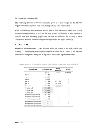 36"|"P a g e "
%
3) Comparison between species
The burrowing behavior of the two organisms gives us a clear insight on the different
responses that the two species have when dealing with the same stress factors.
When comparing the two organisms, we can observe that Macoma burrowed more readily
into the sediment compared to Mya and this may indicate that Macoma is more resistant to
external stress (the burrowing graphs from Macoma are stable and the mortality is lower
compared to Mya, that have fluctuating burrowing behavior and higher mortality).
6.2 FATE OF AC
The results obtained from the GC-MS machine, which are relevant to our study, can be seen
in table 5. These numbers were used to determine whether the AC added to the different
samples was biodegraded during the 14-day period in which the experiment was held.
Table 5. Amount of AC measured in sediment, water, and tissue on day 14, and initial amount (T0)
Treatment( Sediment(AC(
Body(
burden(
Water(
,, (ug/g), (ug/g), (ug/ml)%
Mya,ac,1, 23.1147, J% J%
Mya,ac,2, 23.1214, J% J%
Mya,ac,3, 25.0069, J%% J%
Mac,ac,1, 24.3754, 92.1729, J%
Mac,ac,2, 22.0136, 76.2953, J%
Mac,ac,3, 22.5651, DAMAGED, J%
T0,initial,ac,1, 37.1318, >, J%
T0,initial,ac,2, 35.6810, >, J%
T0,initial,ac,3, 40.8549, >, J%
Microbial,degradation,1, 28.1599, J, J%
Microbial,degradation,2, 22.1222, J, J%
Microbial,degradation,3, 21.2805, J, J%
No,organisms,1,(control), >, J, J%
No,organisms,2,(control), >, J, J%
No,organisms,3,(control), >, J, J%
 