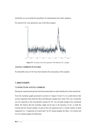 40"|"P a g e "
%
trend (thus we can exclude the possibility of contamination from other samples).
No traced of AC were detected in any of the Mya samples.
Figure 19. AC peak on the mass-spectrum in the Macoma AC 2 sample.
ACETYL CEDRENE IN WATER
No detectable traces of AC have been found in the water phase of the samples.
7. DISCUSSION
7.1 EFFECTS OF ACETYL CEDRENE
During the experimental period, both burrowing behavior and mortality have been monitored.
From the mortality graphs presented in section 6.1 (figure 10 and 11), we could observe that
several organisms from both the Mya and Macoma samples have died. This was a trend that
was not expected, as the concentration chosen for AC was not high enough to be considered
lethal. We believe that the mortality might not be due to the presence of AC, as both the
Control and AC treated samples of each of the test organisms have a similar number of dead
organisms (i.e. 5 organisms in Control and 5 in AC treated samples for Mya; 3 in Control and
4 in AC treated samples for Macoma).
 