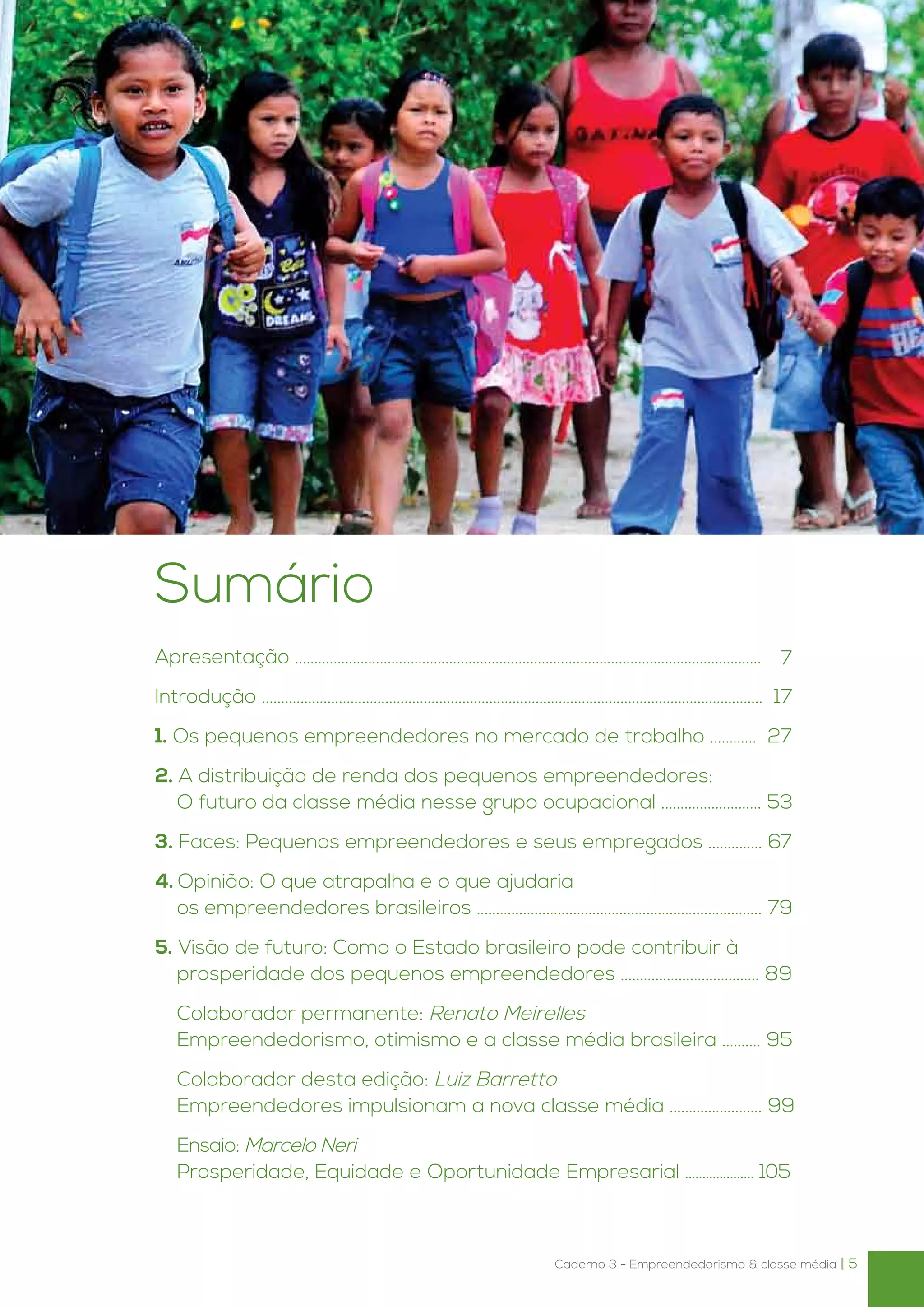 Caderno 3 - Empreendedorismo & classe média | 5
Sumário
Apresentação ......................................................................................................................... 	
Introdução .................................................................................................................................. 17
1. Os pequenos empreendedores no mercado de trabalho ............ 27
2. A distribuição de renda dos pequenos empreendedores:
O futuro da classe média nesse grupo ocupacional .......................... 53
3. Faces: Pequenos empreendedores e seus empregados .............. 67
4. Opinião: O que atrapalha e o que ajudaria
os empreendedores brasileiros .......................................................................... 79
5. Visão de futuro: Como o Estado brasileiro pode contribuir à
prosperidade dos pequenos empreendedores .................................... 89
	 Colaborador permanente: Renato Meirelles
	 Empreendedorismo, otimismo e a classe média brasileira .......... 95
	 Colaborador desta edição: Luiz Barretto
	 Empreendedores impulsionam a nova classe média ........................ 99
	 Ensaio: Marcelo Neri
	 Prosperidade, Equidade e Oportunidade Empresarial .................... 105
7
 