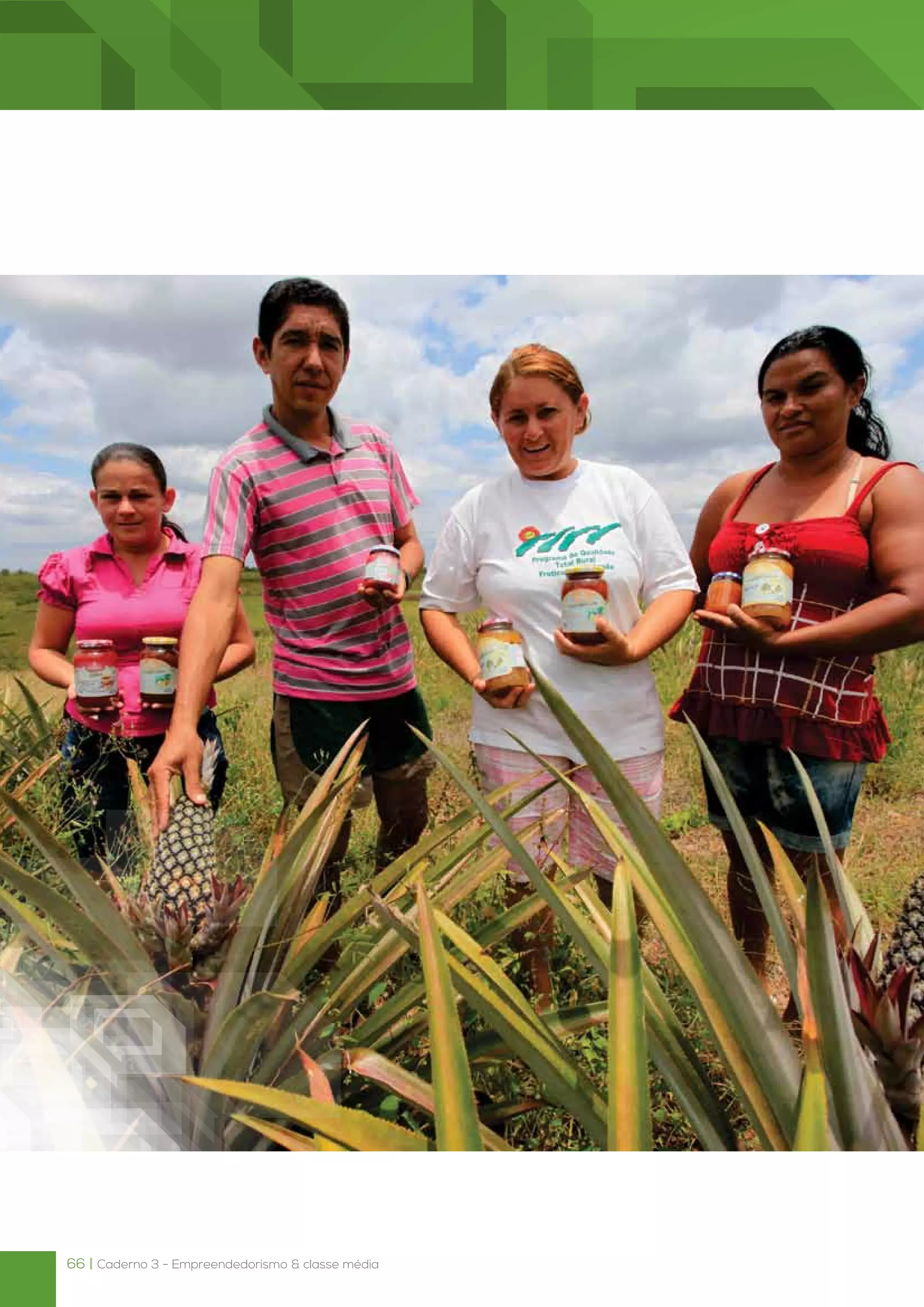66 | Caderno 3 - Empreendedorismo & classe média
 