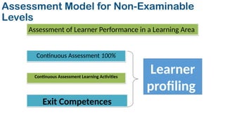 Assessment Model for Non-Examinable
Levels
Assessment of Learner Performance in a Learning Area
Continuous Assessment 100%
Continuous Assessment Learning Activities
Exit Competences
Learner
profiling
 