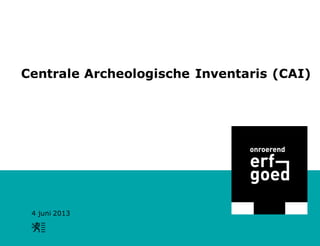 4 juni 2013
Centrale Archeologische Inventaris (CAI)
 